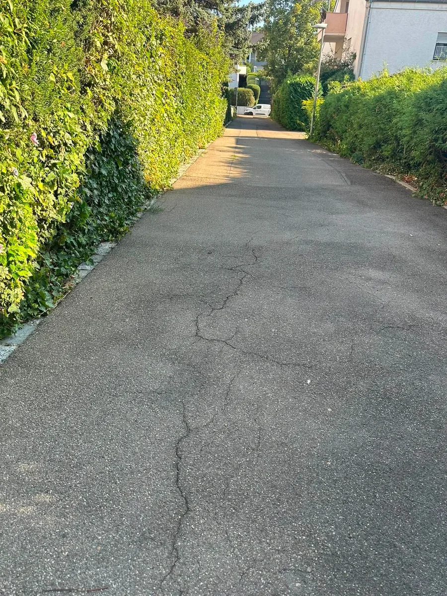 Sauber gekehrter Weg entlang einer hohen Hecke – echtes Einsatzfoto