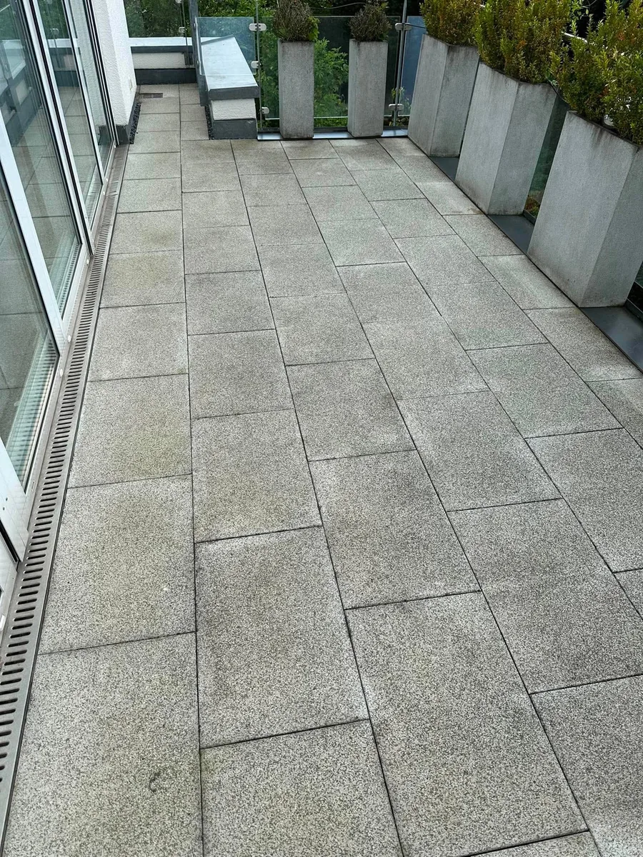 Terrassenplatten mit Grünbelag und dunklen Fugen vor der Reinigung – echtes Einsatzfoto